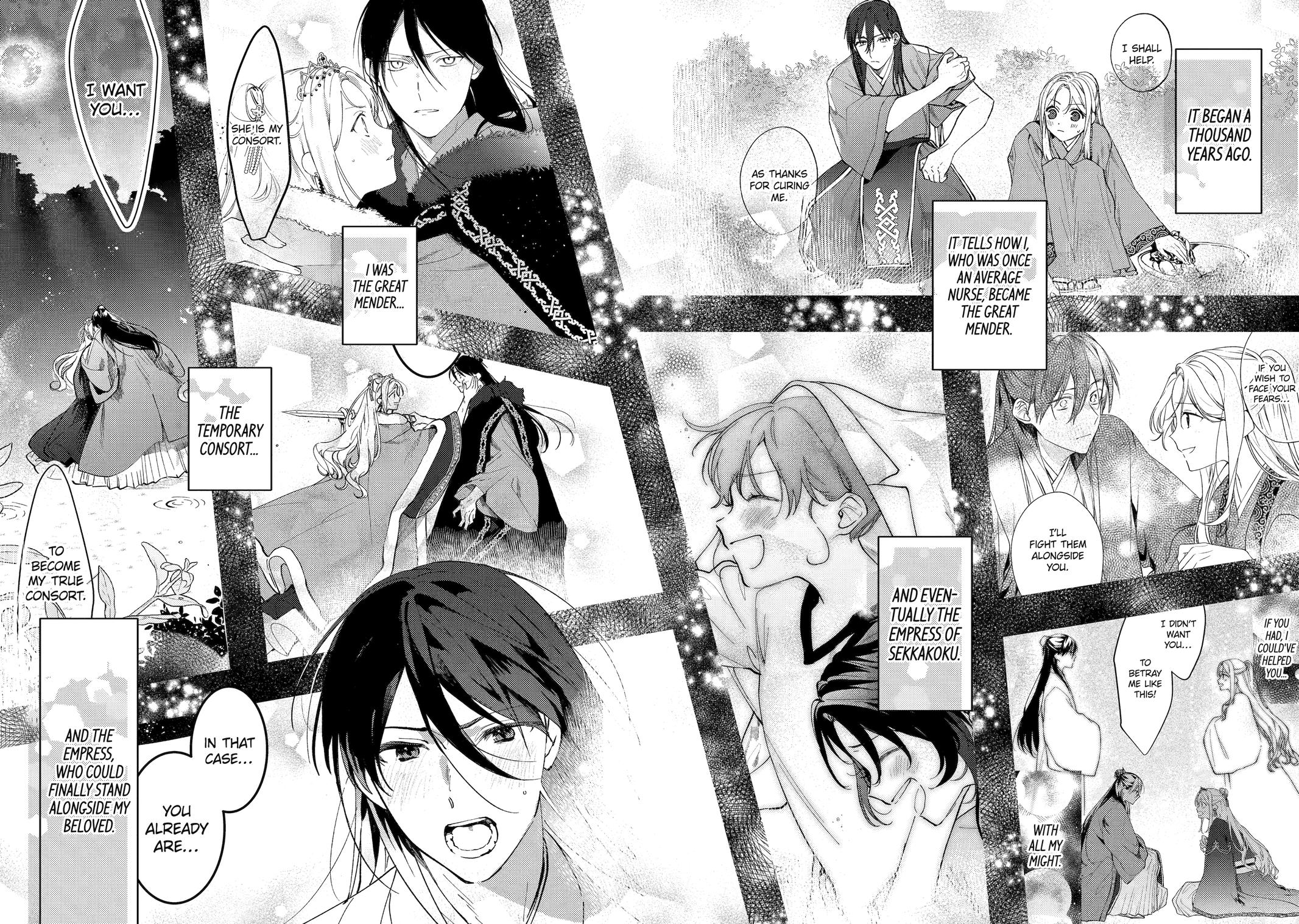 The Healer Consort Chapter 28 25