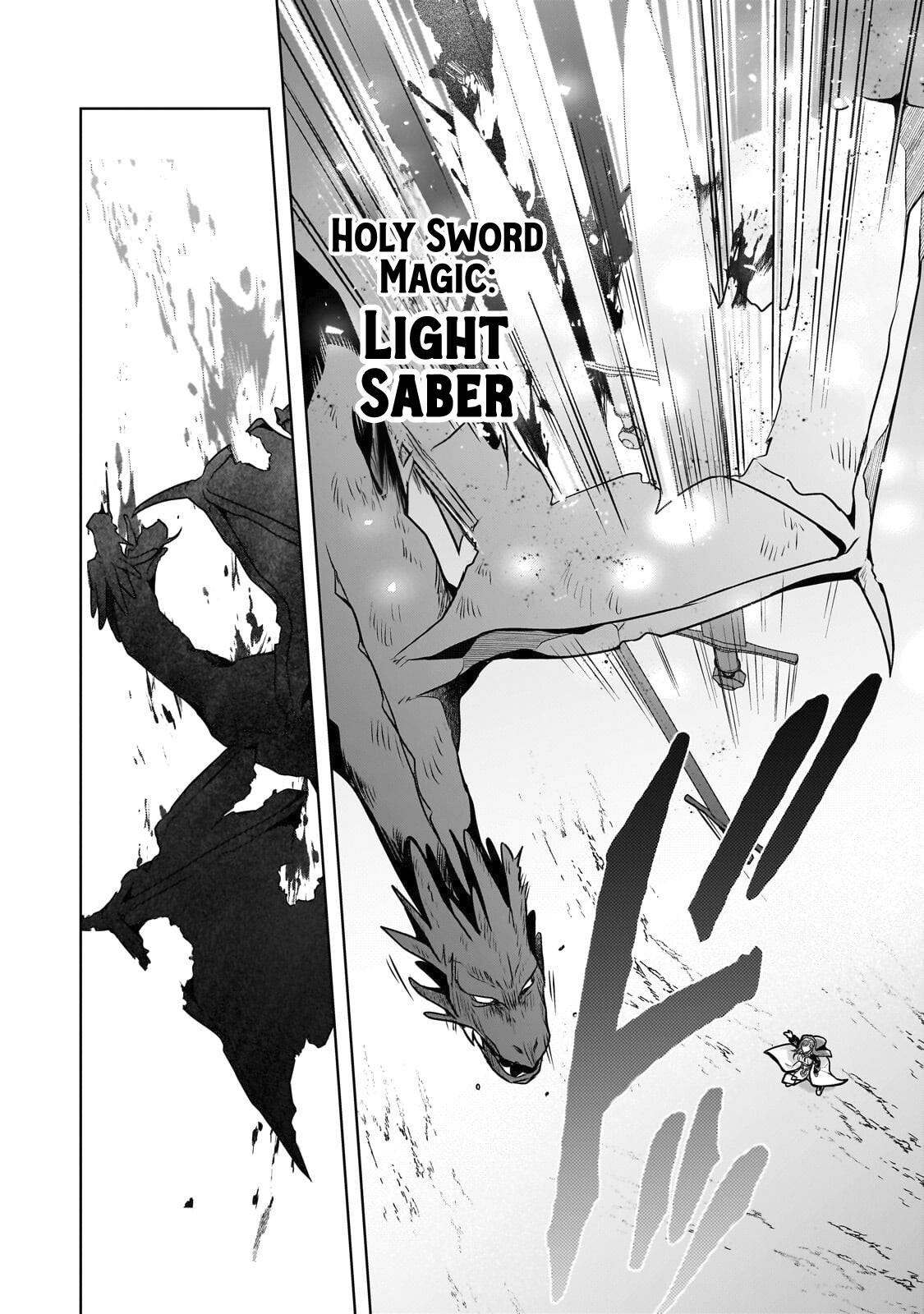 Zero Damage Sword Saint Chapter 17 9